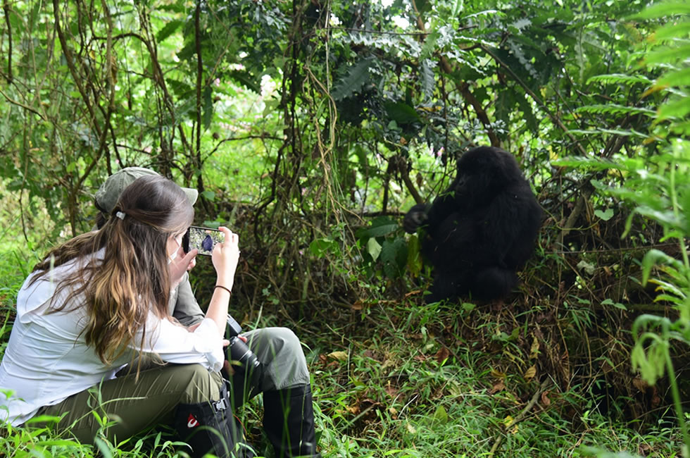 7 Tips for Gorilla Trekking in Rwanda
