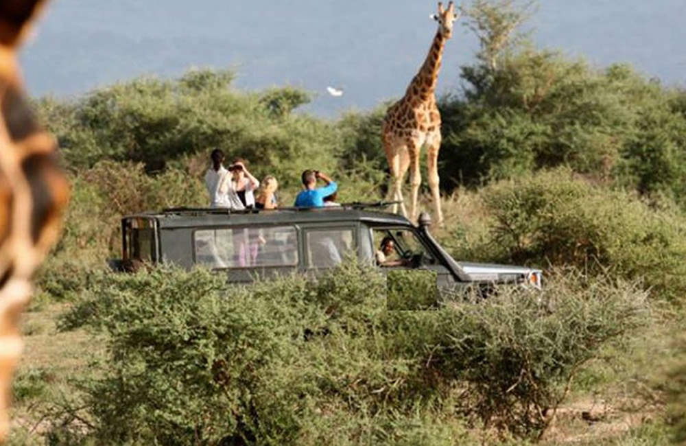 Popup Roof for a Car in Rwanda