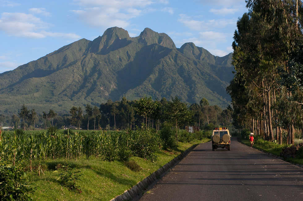 Best 5 Things to Do on Rwanda Safari